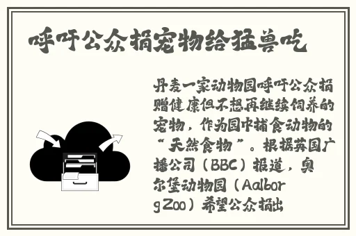 国产乱人伦偷精品视频a人人澡